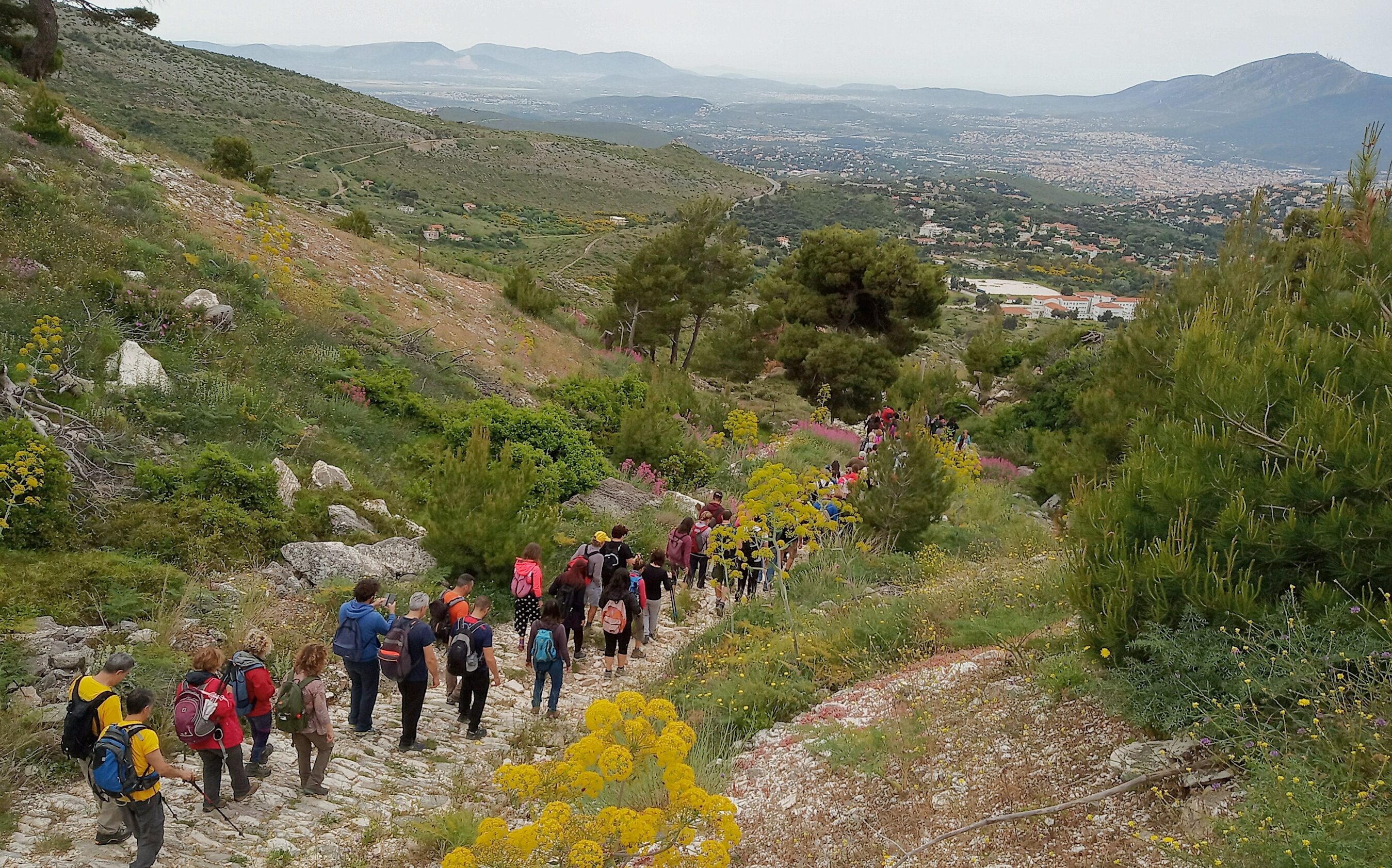 διάσχιση Ρεματιάς 2019