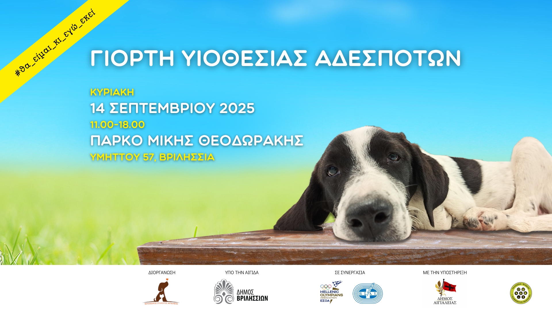 Γιορτή υιοθεσίας αδέσποτων την Κυριακή 14/9 στο πάρκο Μ. Θεοδωράκης  