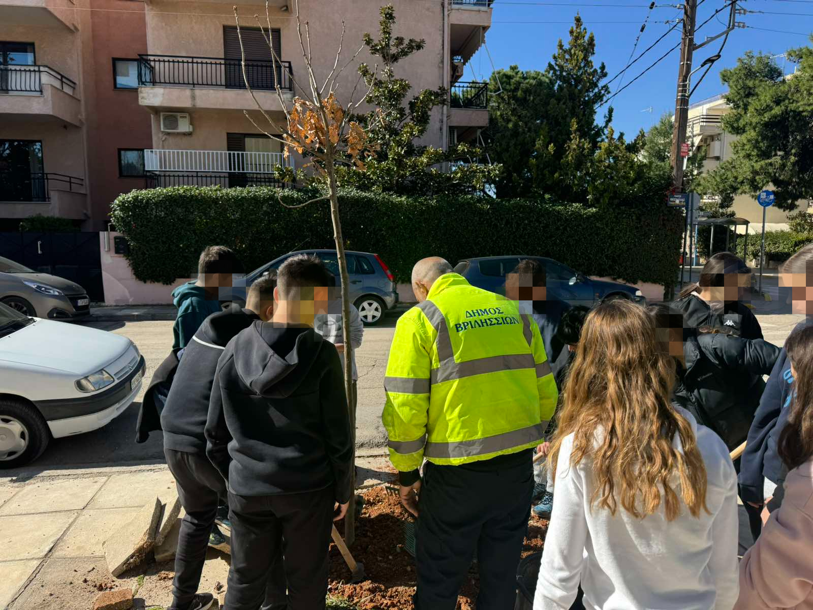 Νέες φυτεύσεις δέντρων στον αστικό ιστό των Βριλησσίων