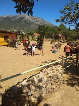 107420255 322543685805507 6838655240753844661 n