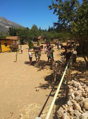 107461726 603749473877269 2819320513368252314 n