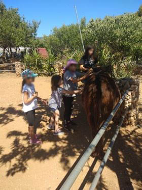 107461924 3133383106776310 777435163496388983 n