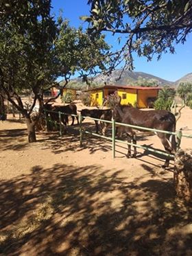 107535763 1694140520739344 1934304060415604894 n