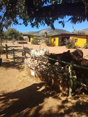 107541220 316127542757913 710901402714509330 n