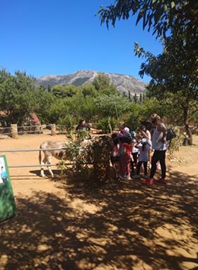 107548172 324486258570016 121592972998319553 n