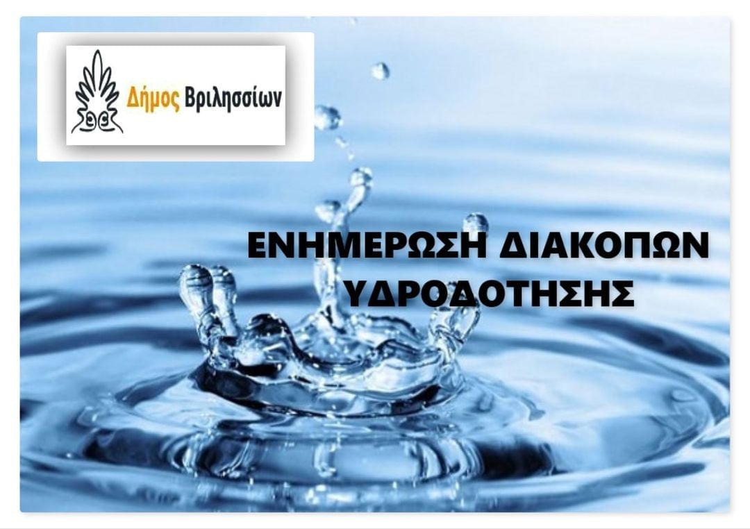 219219486 1460005187731151 2122623871730390207 n