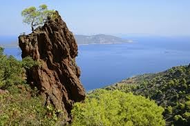 261786537 1592538971079690 174469251040868469 n 2