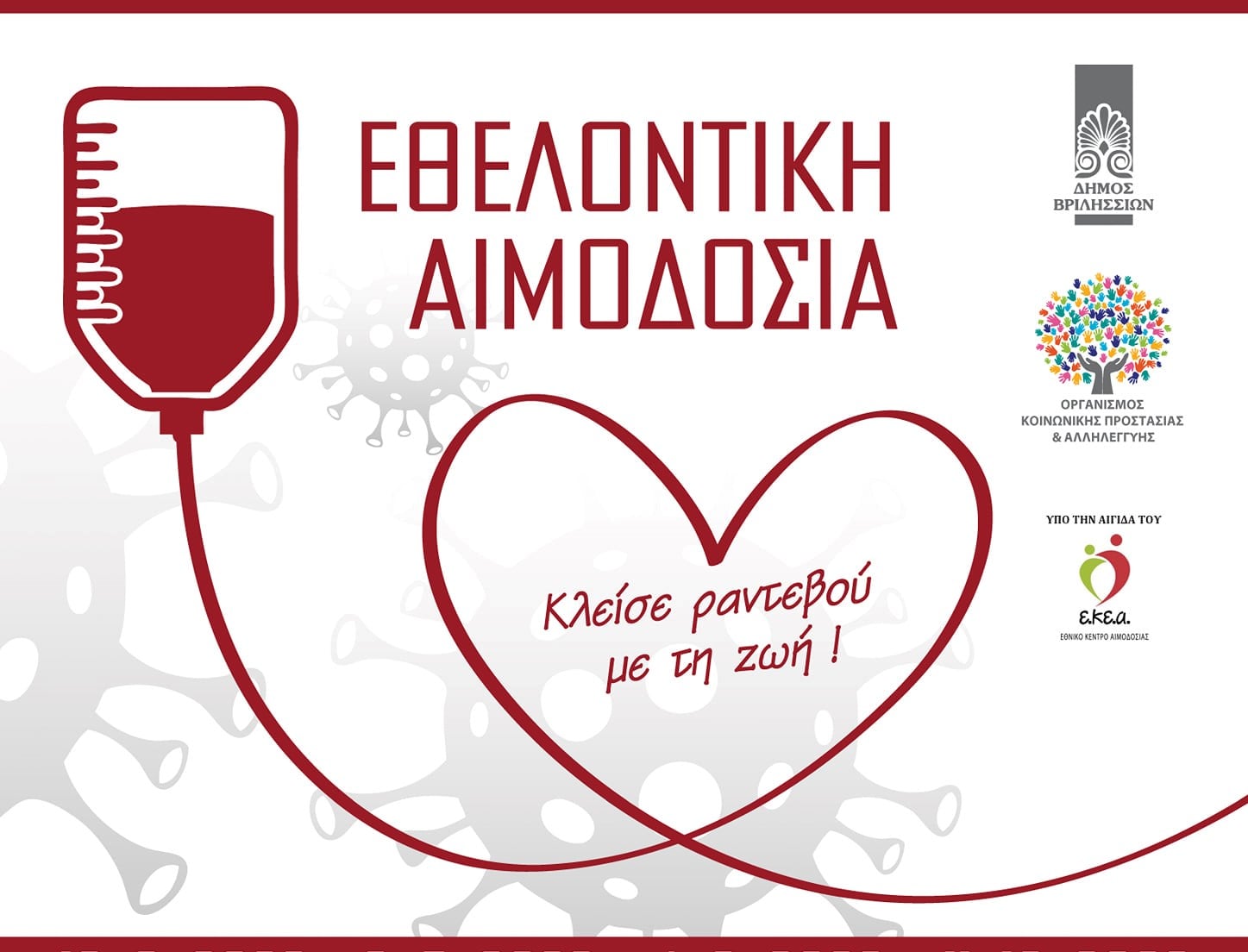 275558094 1631864150545253 7648496600024360406 n