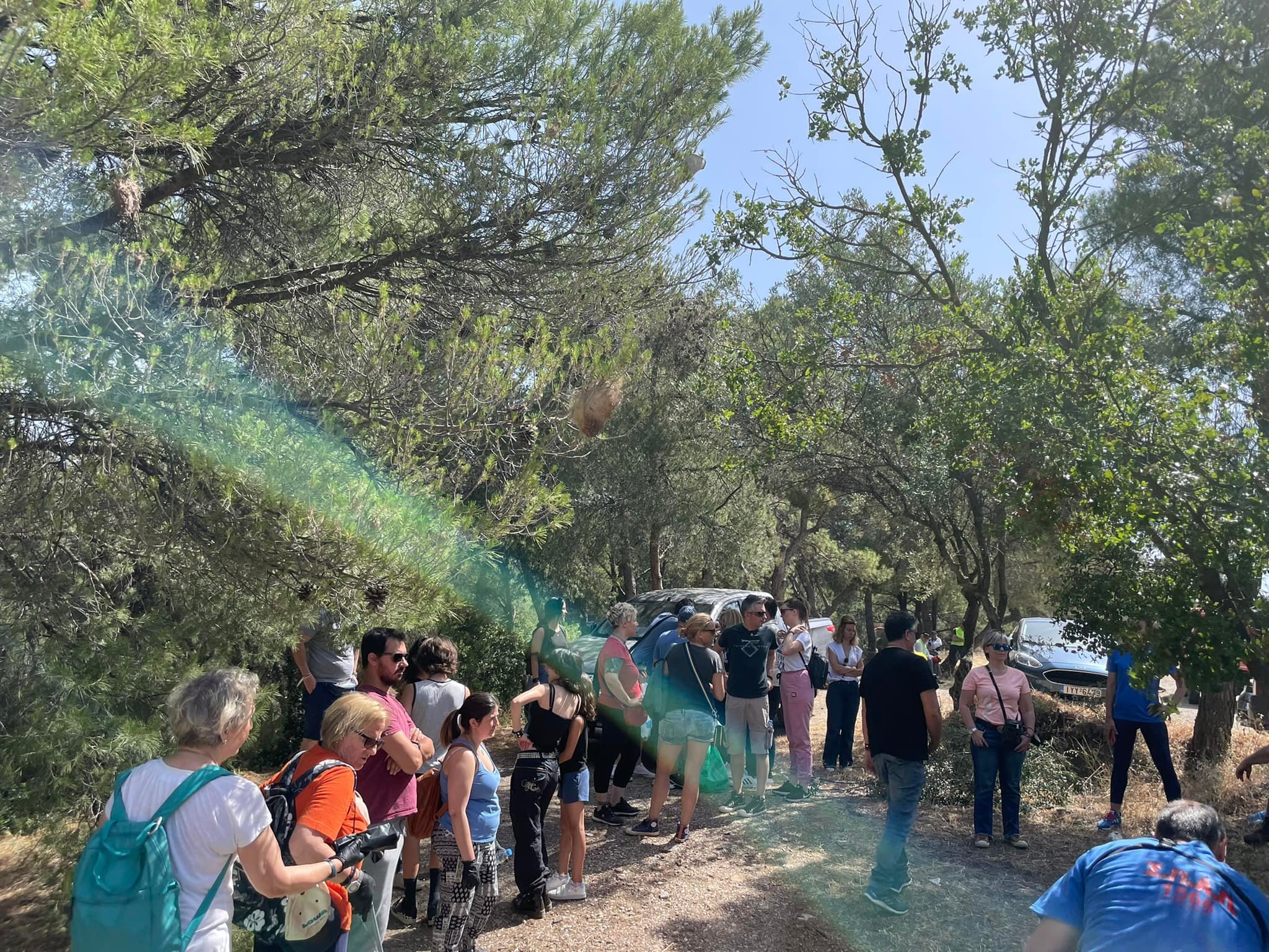 282373852 1691625121235822 2941192266071085112 n