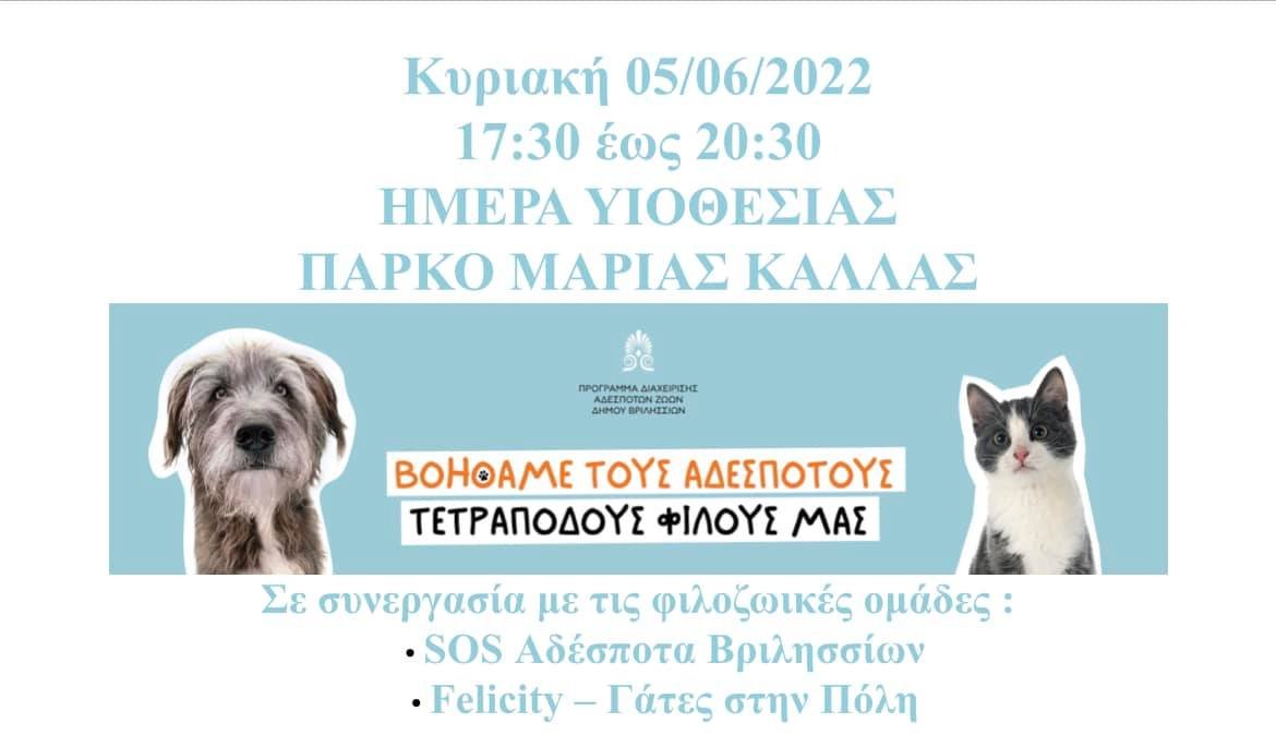 283700578 1694920624239605 3214217309313867032 n