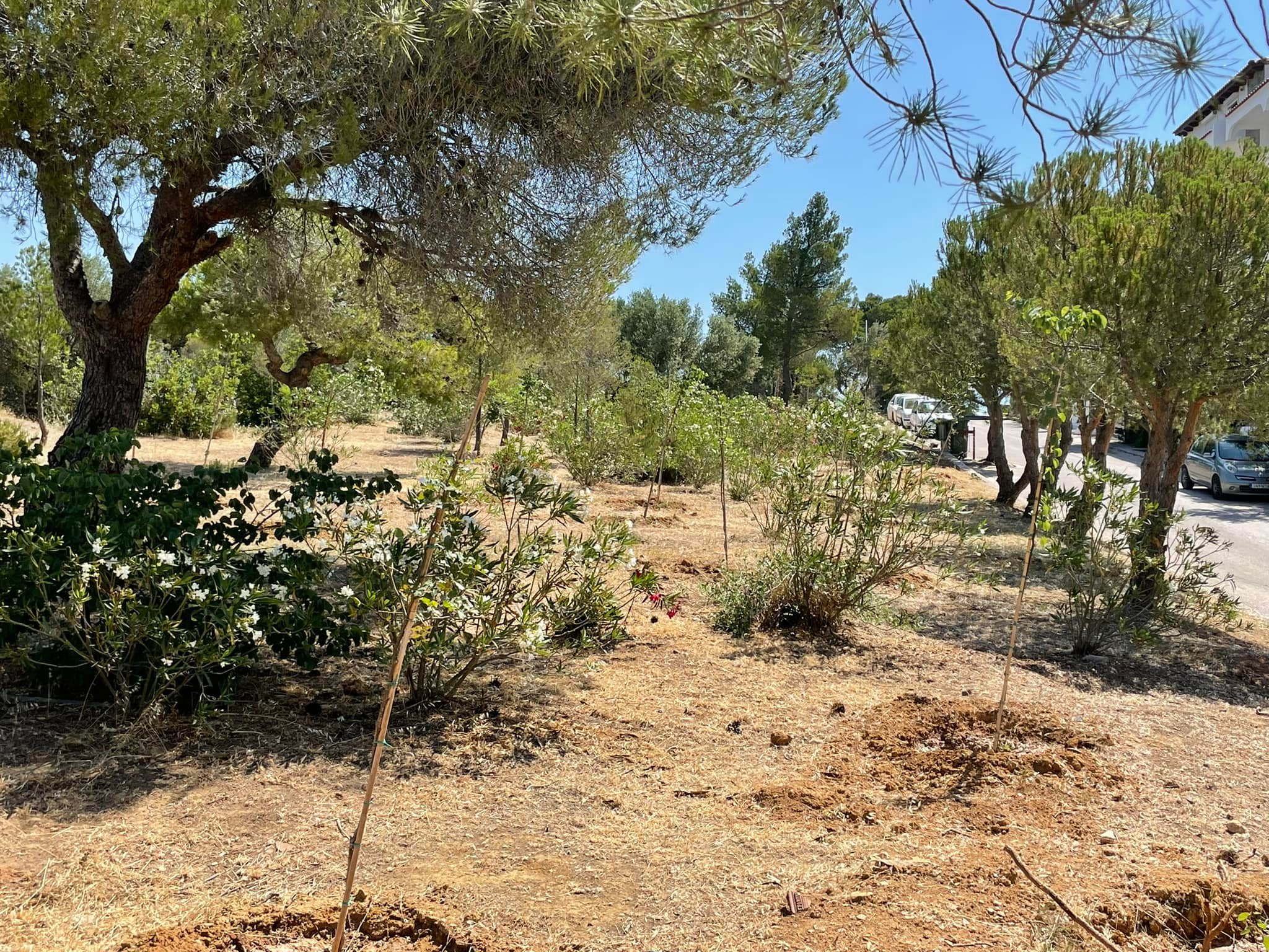 284522935 1093779254540411 1889416802844771261 n