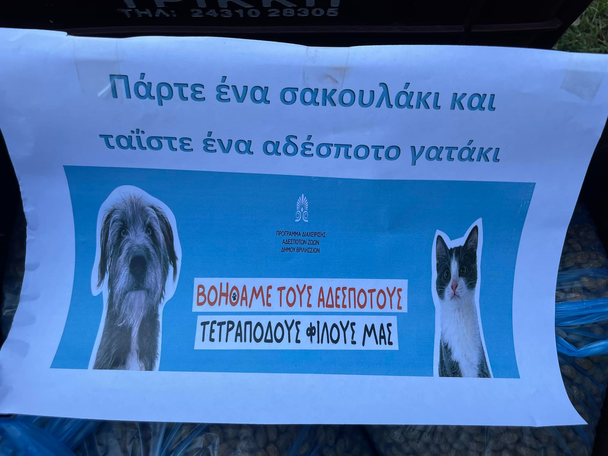 284870193 1093969991188004 3467348261423752536 n