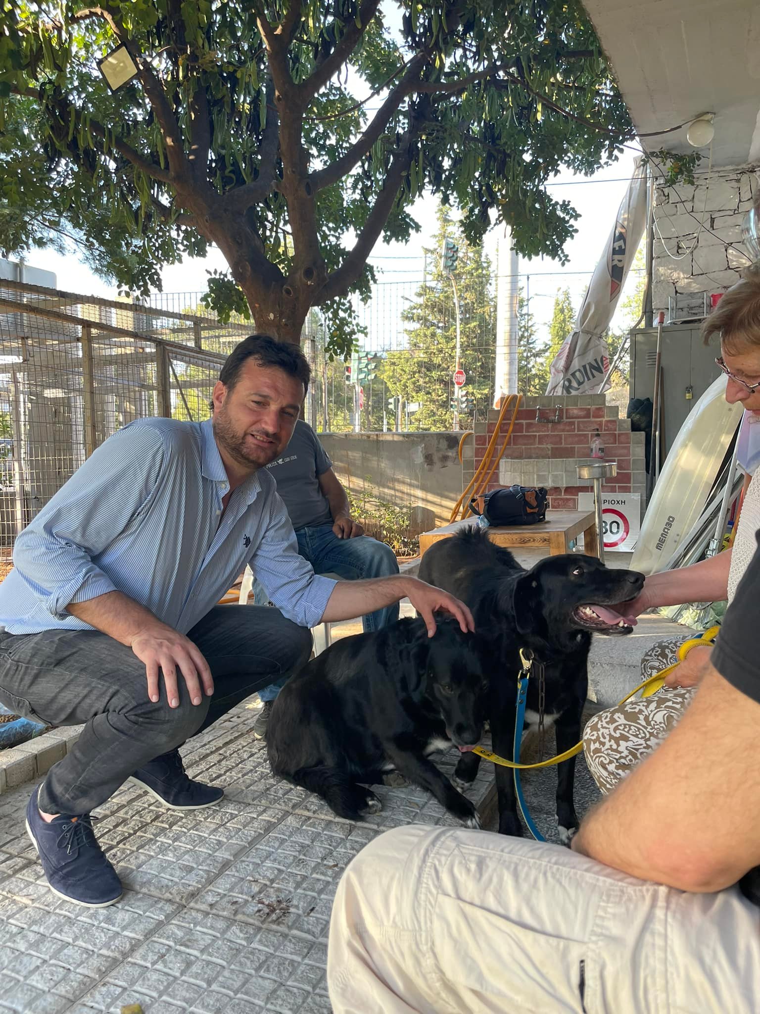 285457202 1093969904521346 1496843931763416760 n