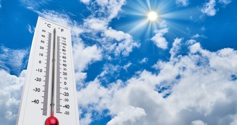 288237213 1708782449520089 392173308220292958 n