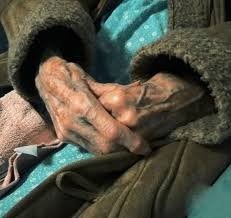 296450192 1742379476160386 1230833633656186733 n