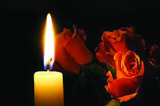 307097050 8890403577651675 2191232671418374079 n 1