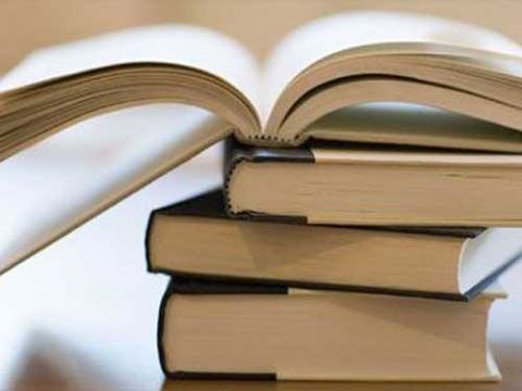 308653452 438828441688125 4562061671412295093 n