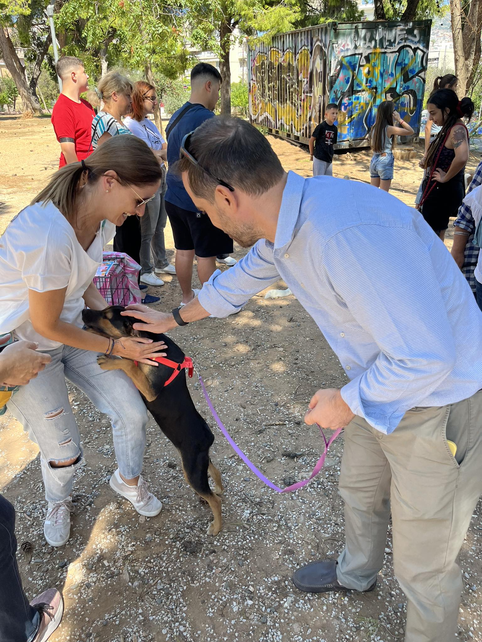 375760310 1325102611777862 8533561163955439050 n