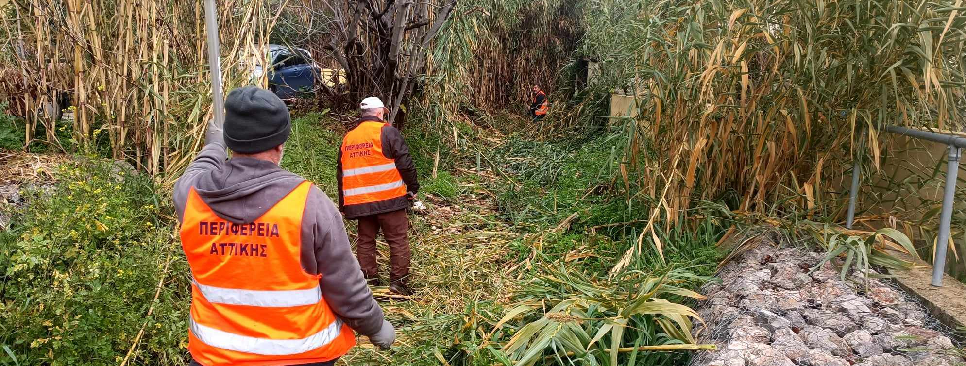 414168511 745769877486804 548802732681583363 n 1 fotor 20240113134337