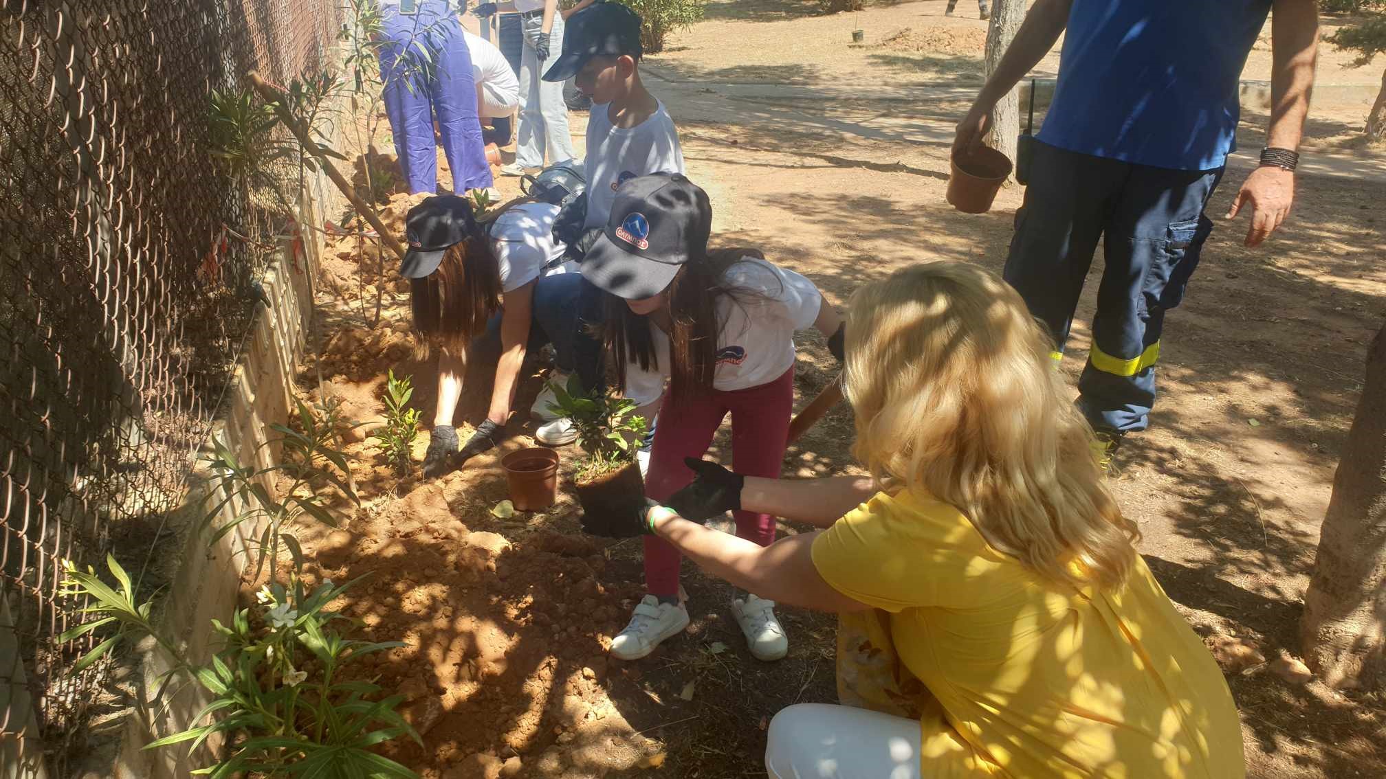 445203343 792640789640220 988360089634759906 n 1