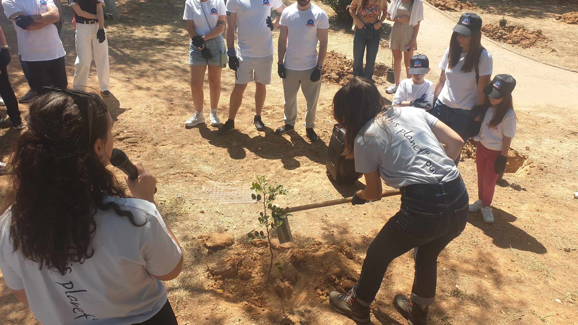 445821804 792640779640221 4698519773133155985 n 1