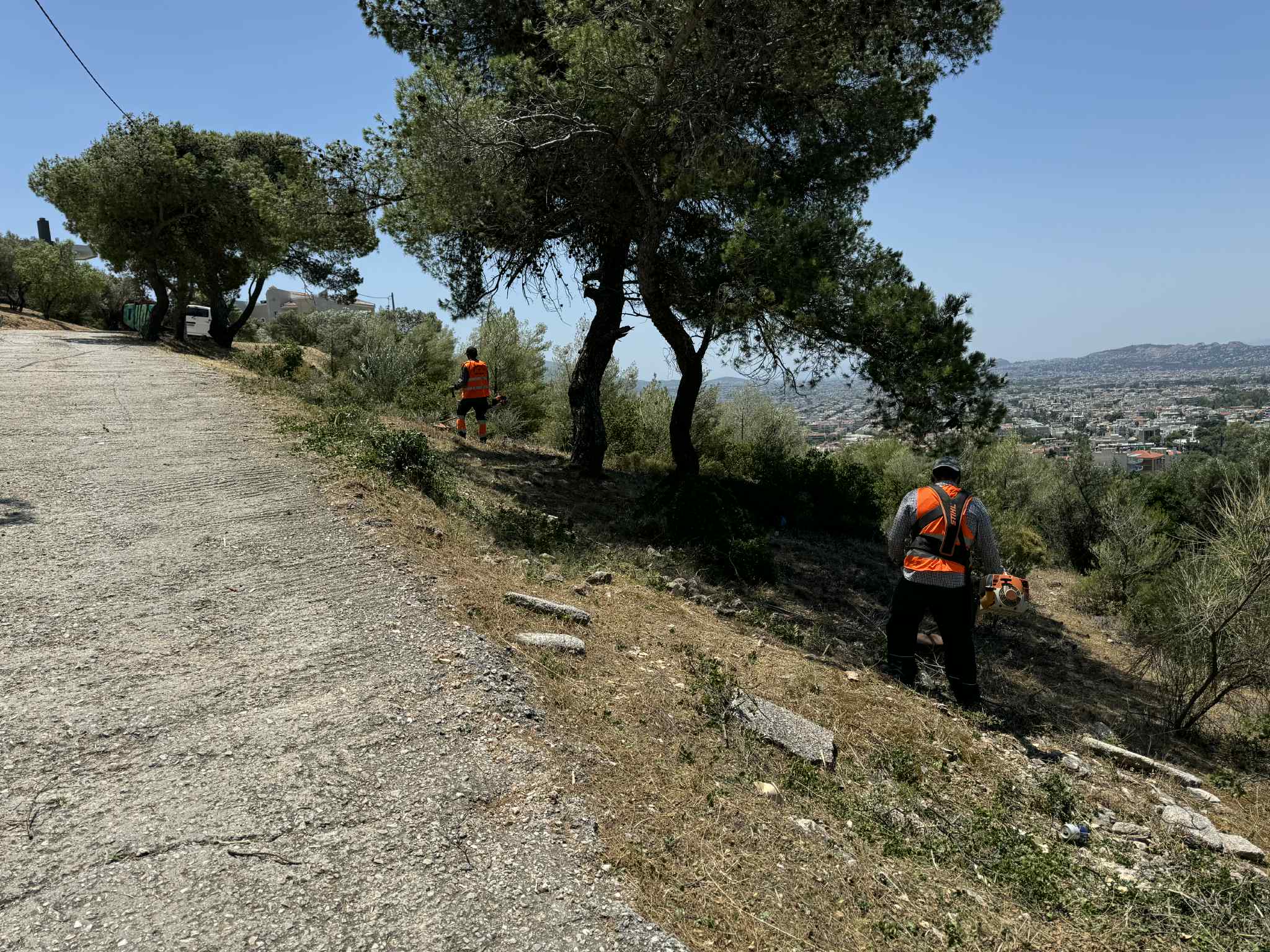 46e35293 3a77 45fd 8921 79f4c03a5db2