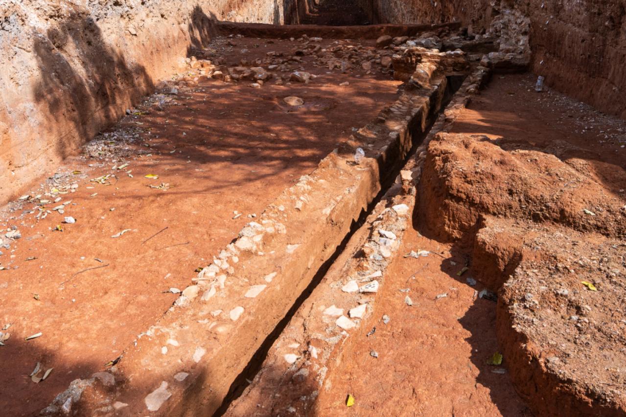 557559600 1141544388083190 6065325548483293818 n 1