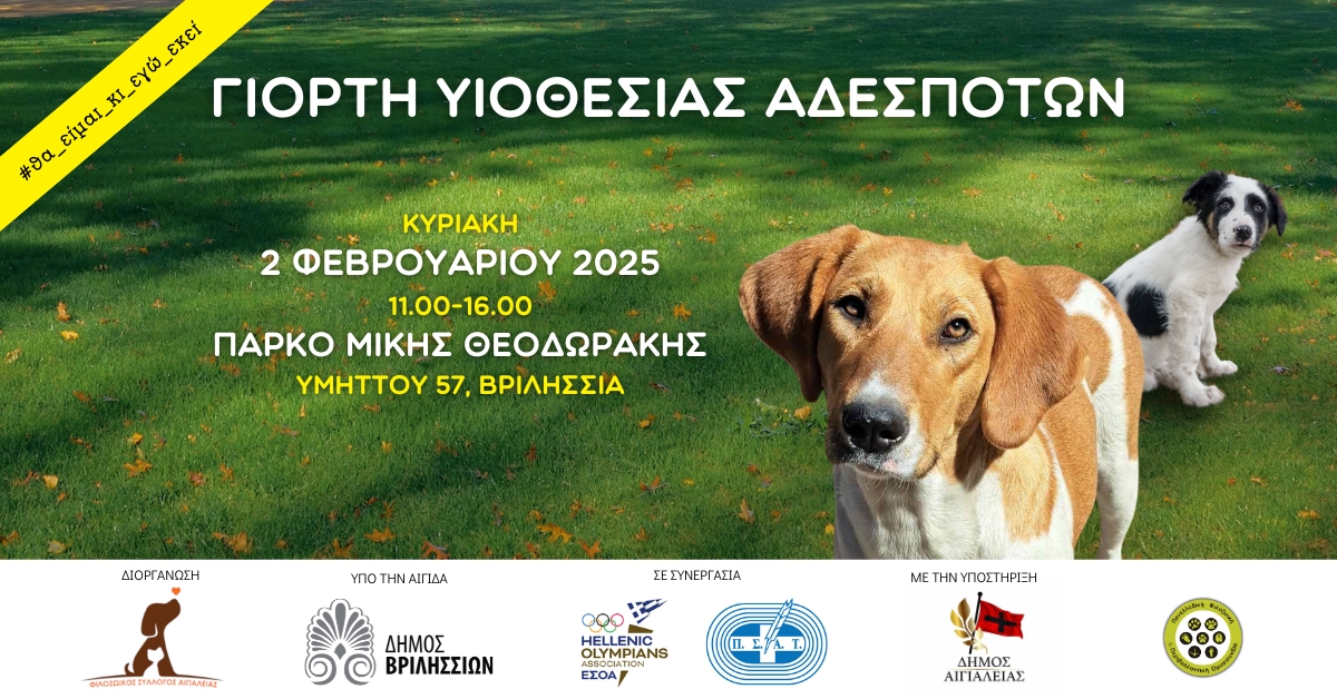 Afisa 020225 fb cover