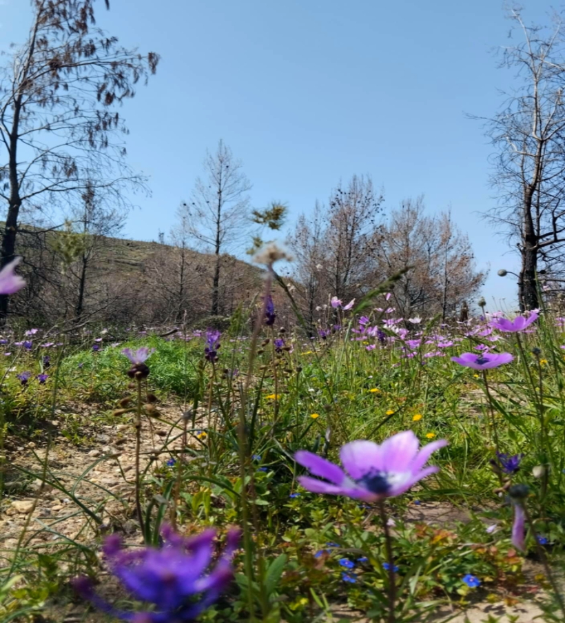 Messenger creation B89A2AC2 3B7A 4160 8EC1 4698CB19352E 1 fotor 20250424121514