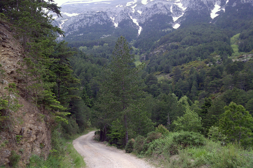 Natural Beauty Taygetos 111