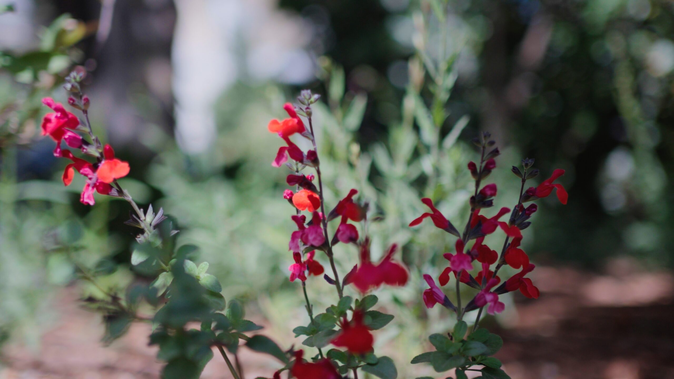 Still 2025 05 25 225022 2.7.1