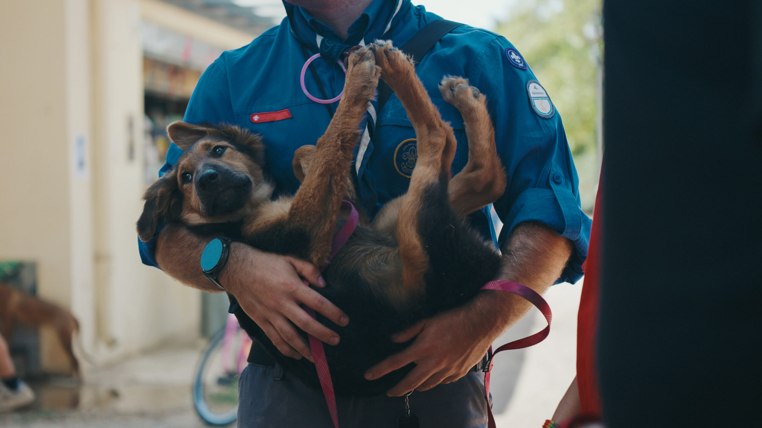 Still 2025 09 16 131032 1.15.1 2