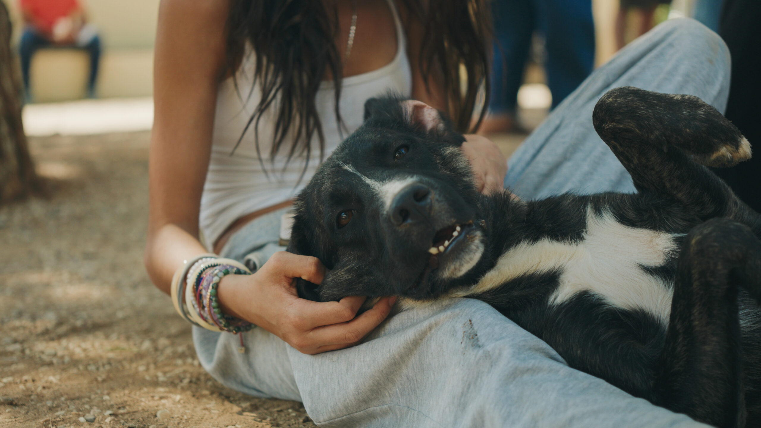 Still 2025 09 16 131032 1.24.1 2