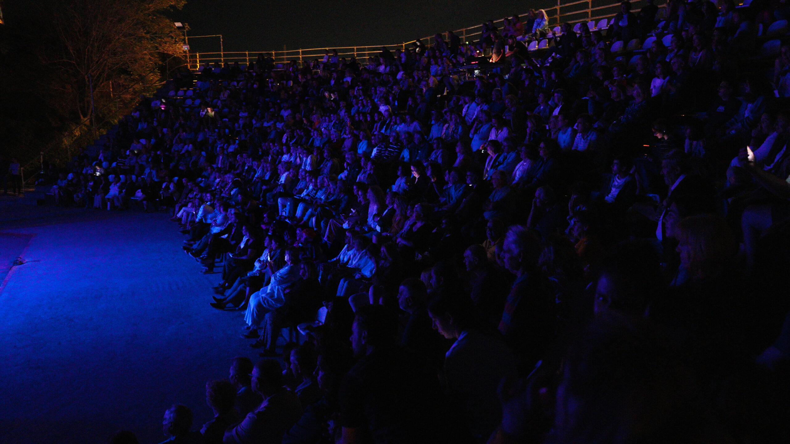 Still 2025 09 28 174839 1.36 copy