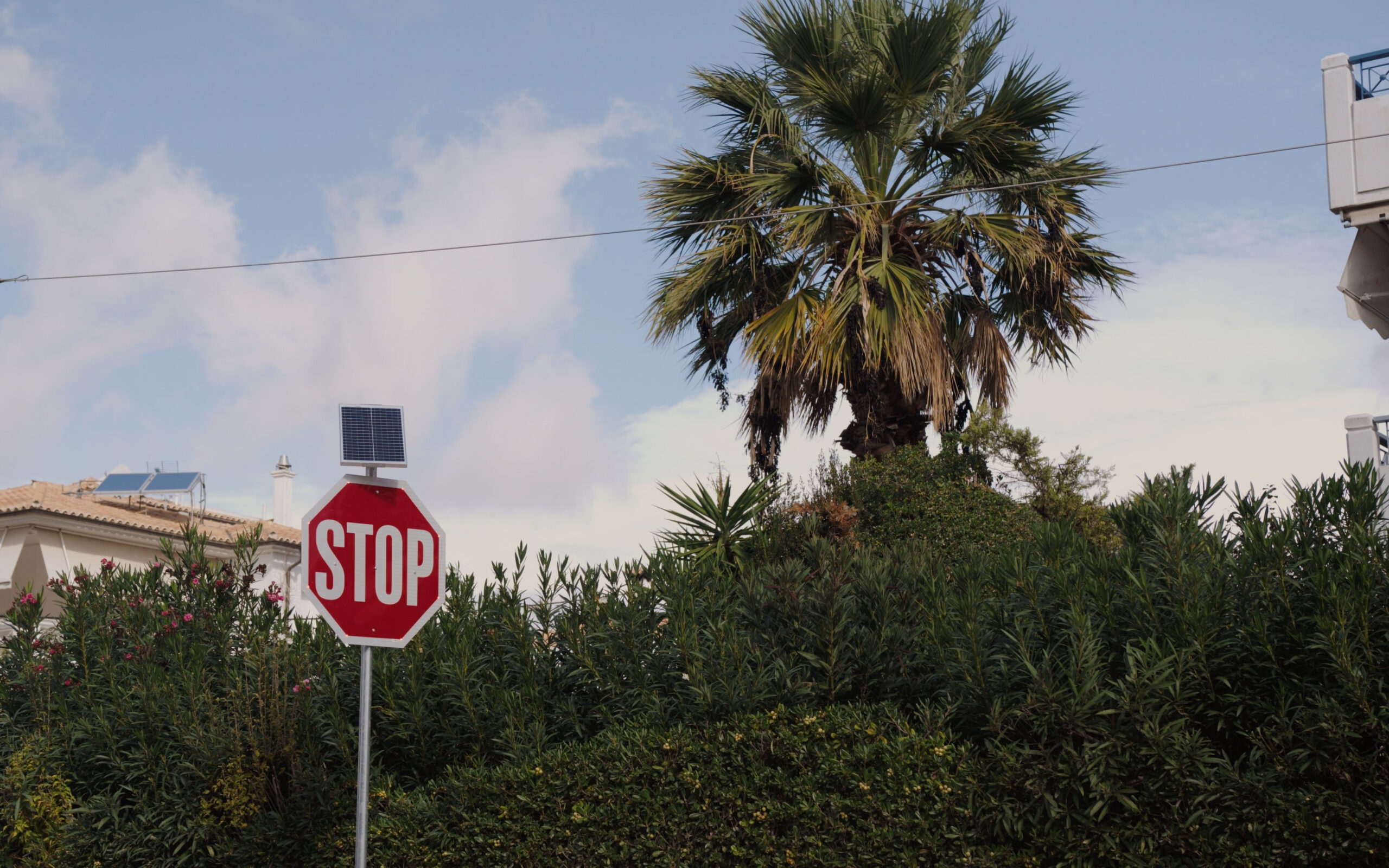 Still 2025 11 18 104806 2.10.1 fotor 20251118115125