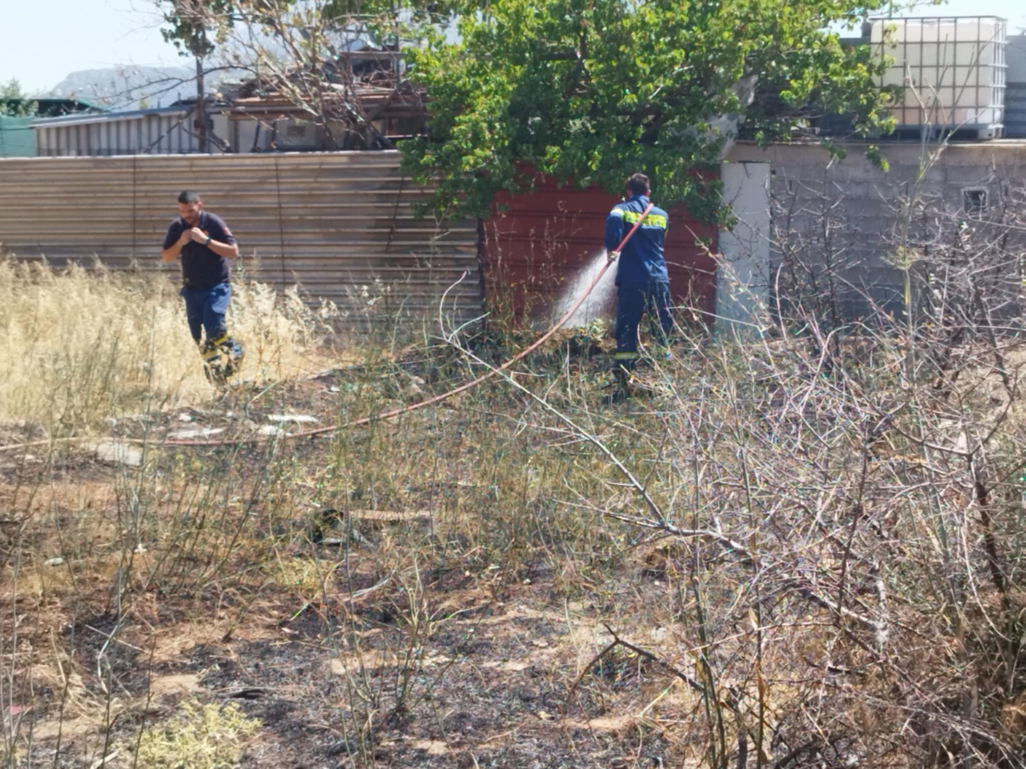 b607ecfe fdb3 4355 89c1 02ffa149538c