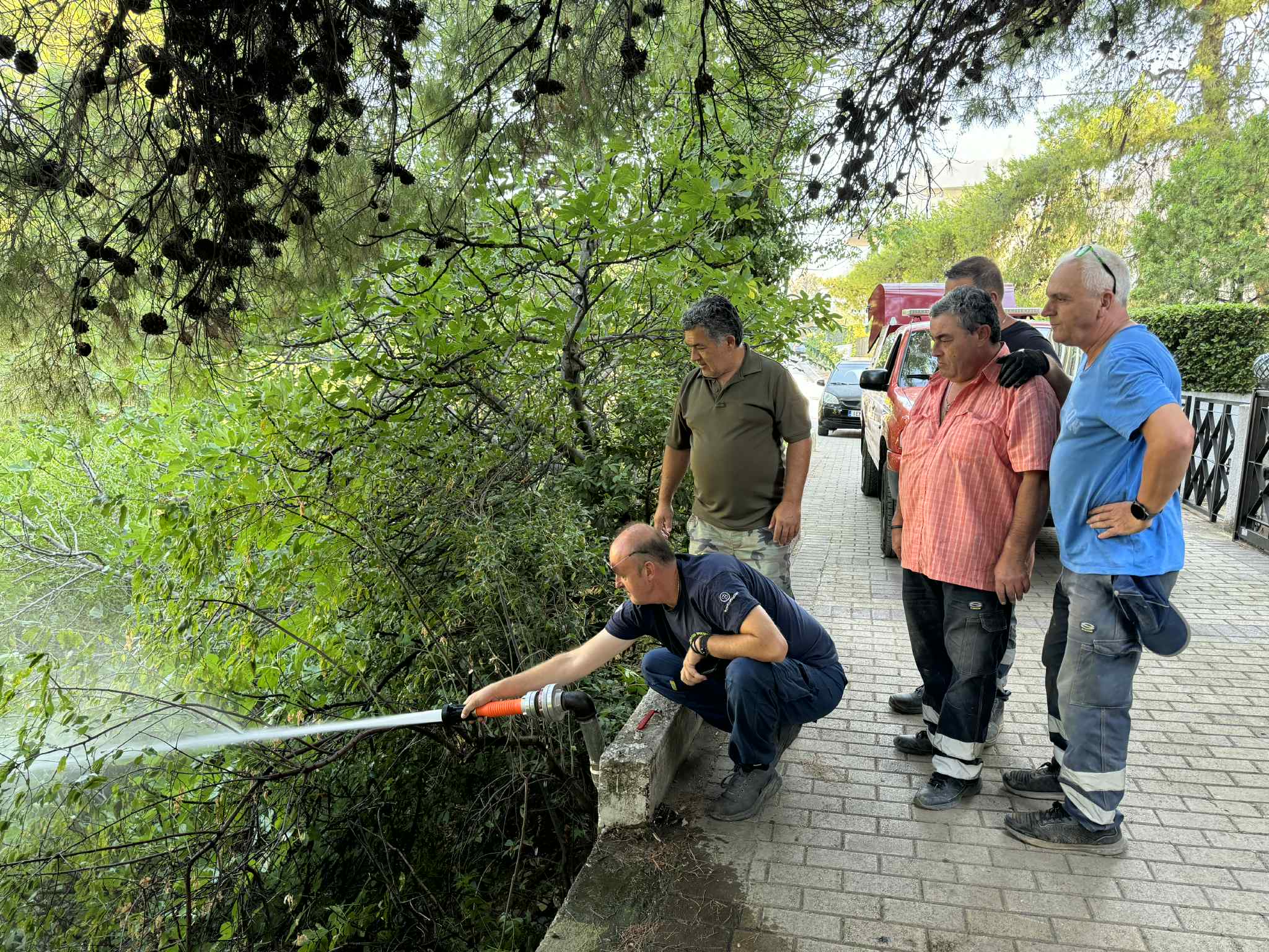 d7f1266c 6807 42bc ae82 091c8530de42