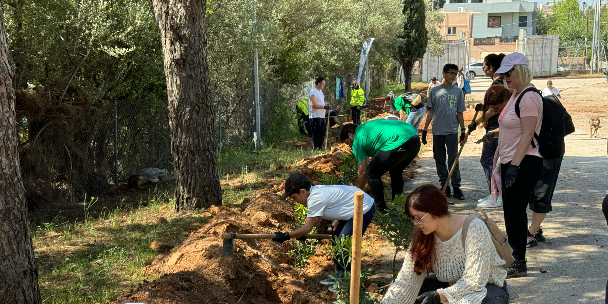 qOLbR AP fotor 20250426205511