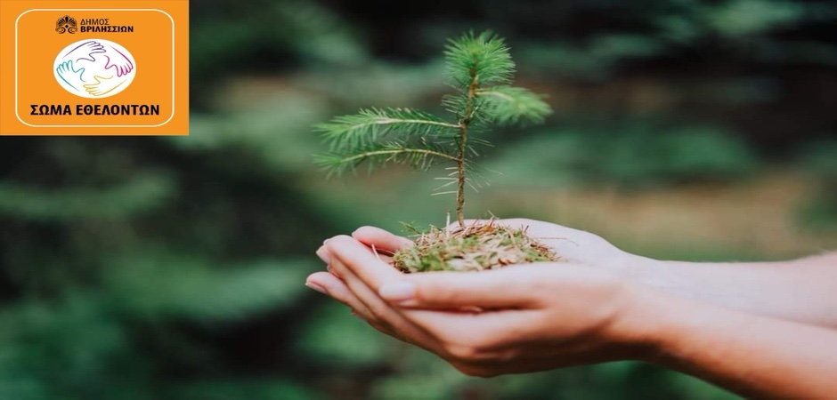 viber image 2024 06 02 18 41 38 546