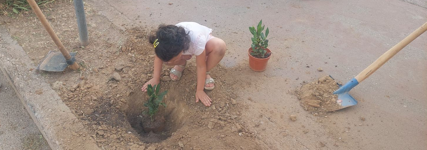 viber image 2024 06 06 11 04 20 716