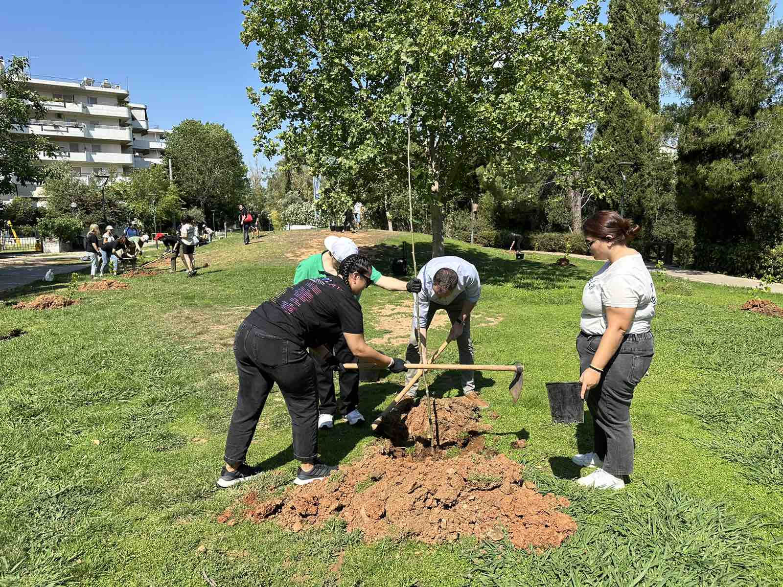 viber image 2024 06 08 12 54 30 643 1