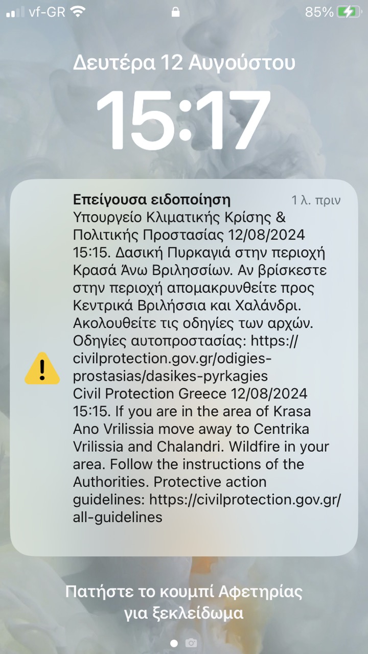 viber image 2024 08 12 15 18 24 875