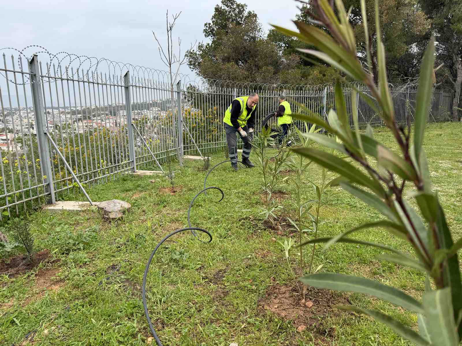 viber image 2025 03 22 14 21 55 361