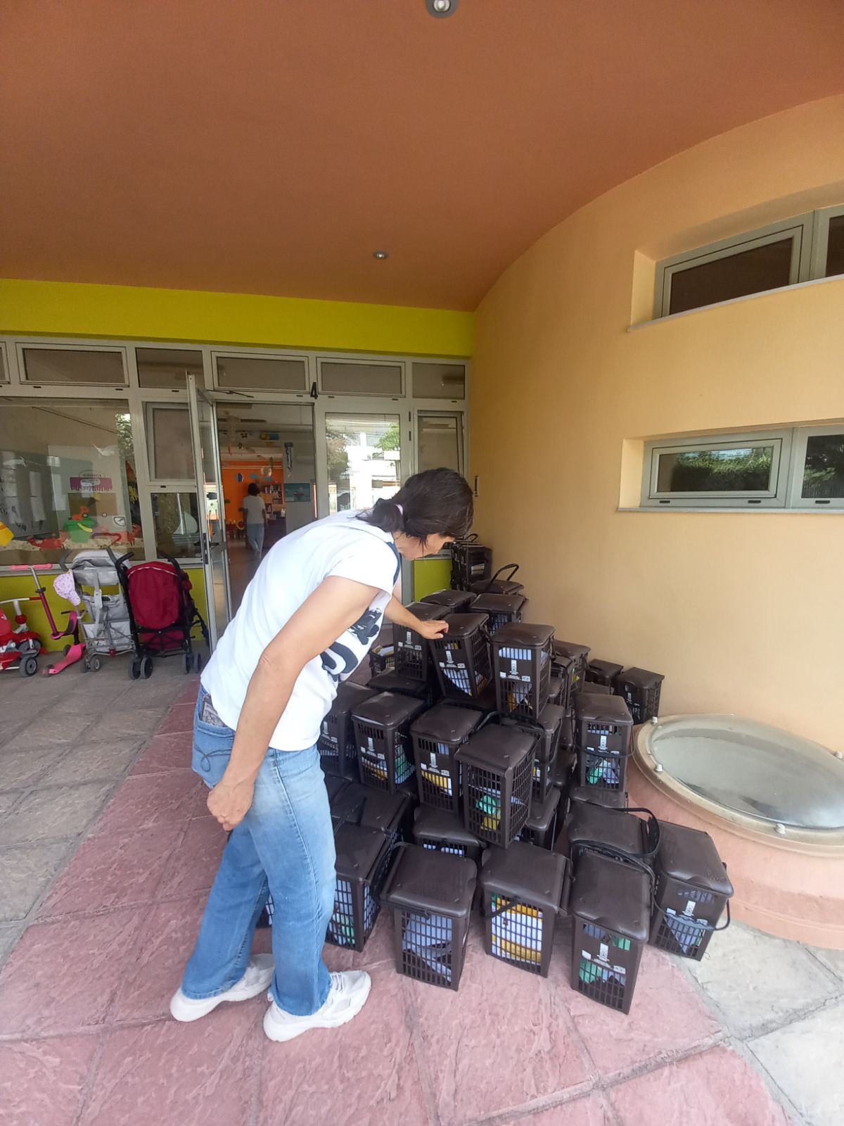 viber image 2025 06 05 10 46 46 116